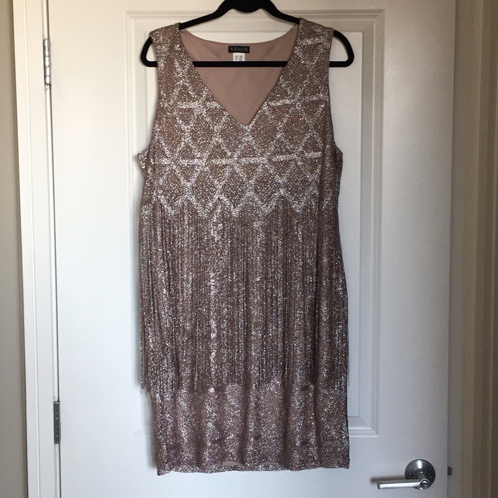 NWOT Flapper fringe dress - Metallic gold/silver